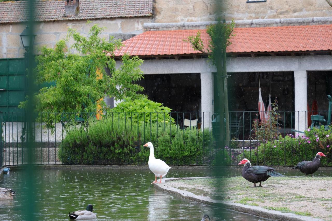 Villa Quinta Dos Patos Pinhanços Esterno foto