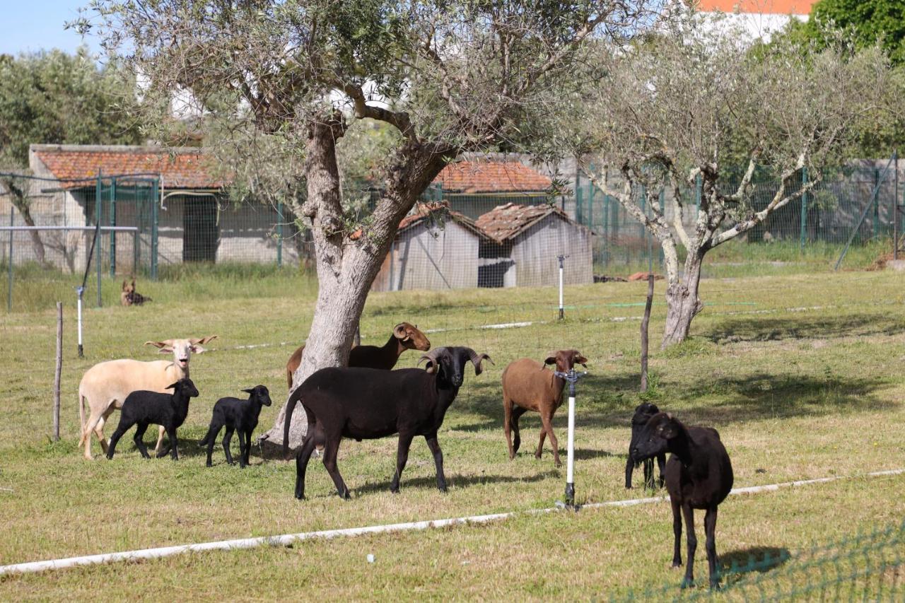 Villa Quinta Dos Patos Pinhanços Esterno foto